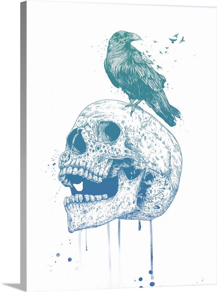 Surrealistic illustration of a raven sitting atop a skull.
