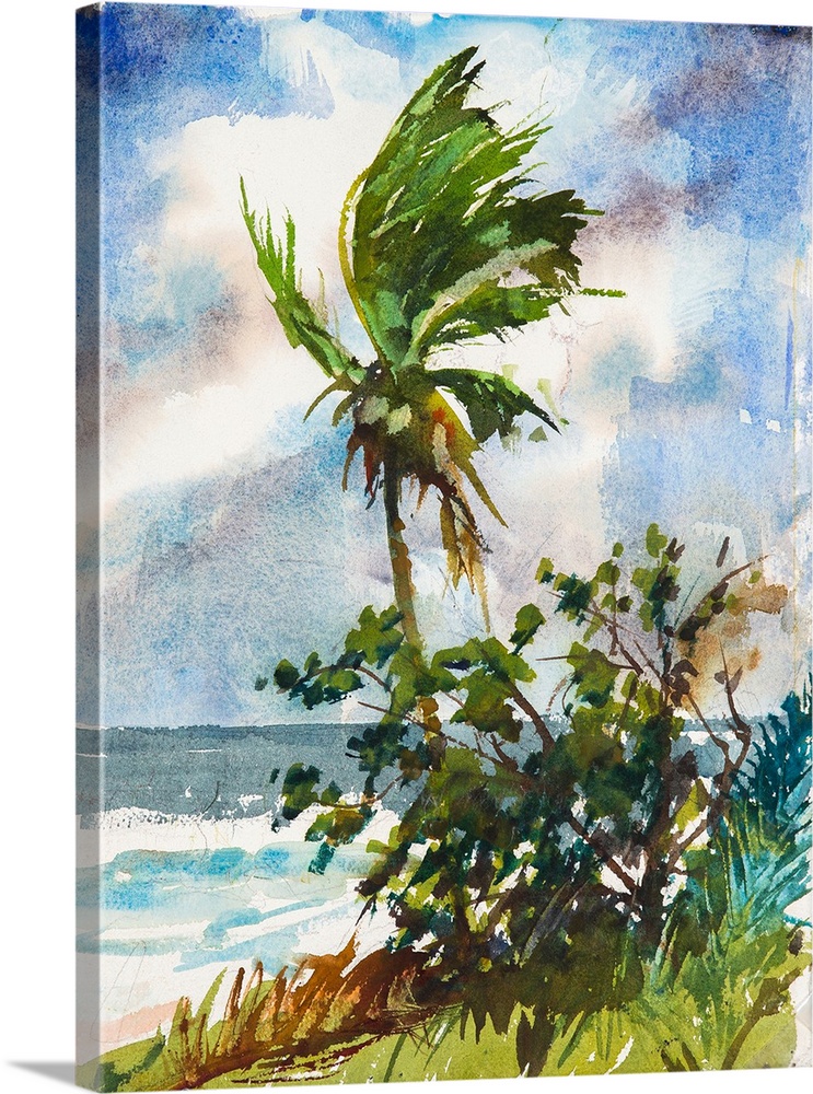 Painting of wind blowing through the leaves of a palm tree.