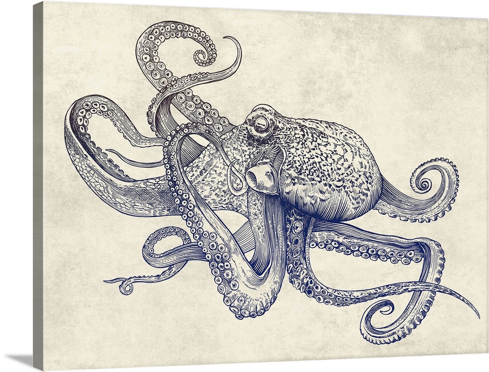 A digital illustration of octopus against a textured background.