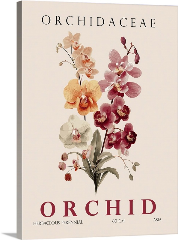 Orchid | Great Big Canvas