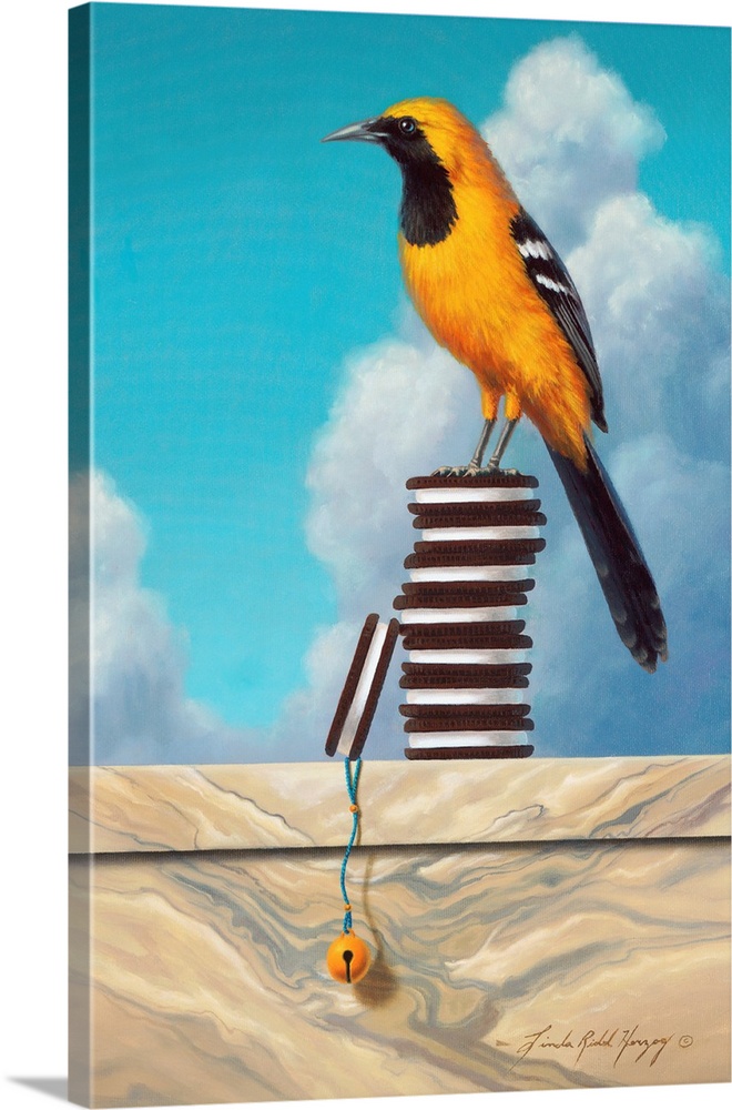 Minimalist Orioles Bird Canvas