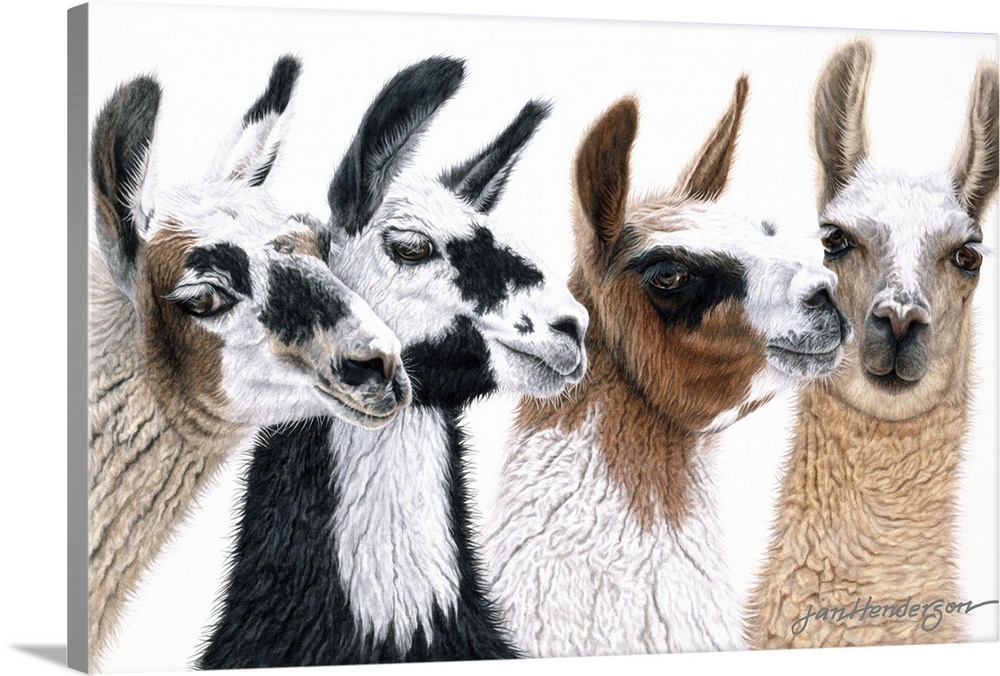A contemporary painting of four llamas.