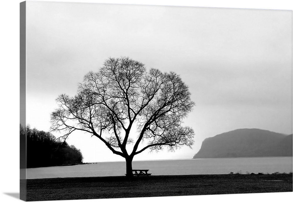 A black and white photograph of a single tree with a picnic table next to a lake.