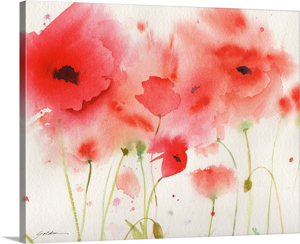 A horizontal watercolor painting of red poppies.