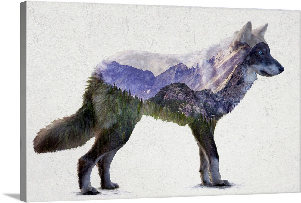 A contemporary piece of artwork of a wilderness scene withing the outline of a wolf.