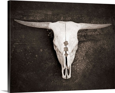 Sepia Cattle Skull