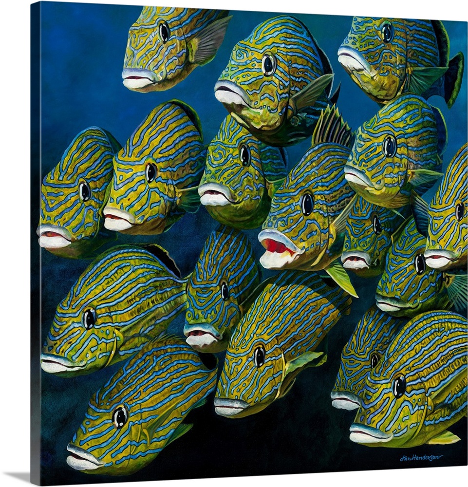 A square painting of a shoal of colorful Grunts.