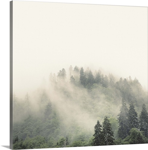 Smoky Mountains Wall Art, Canvas Prints, Framed Prints, Wall Peels