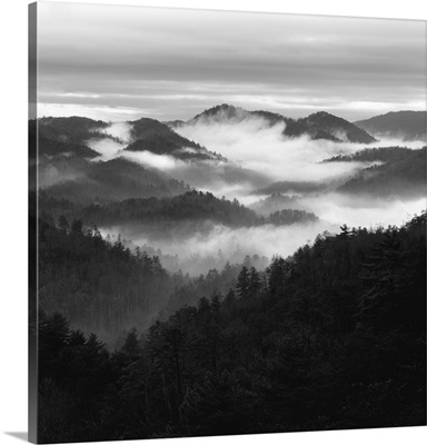 Smoky Mountains After Rain