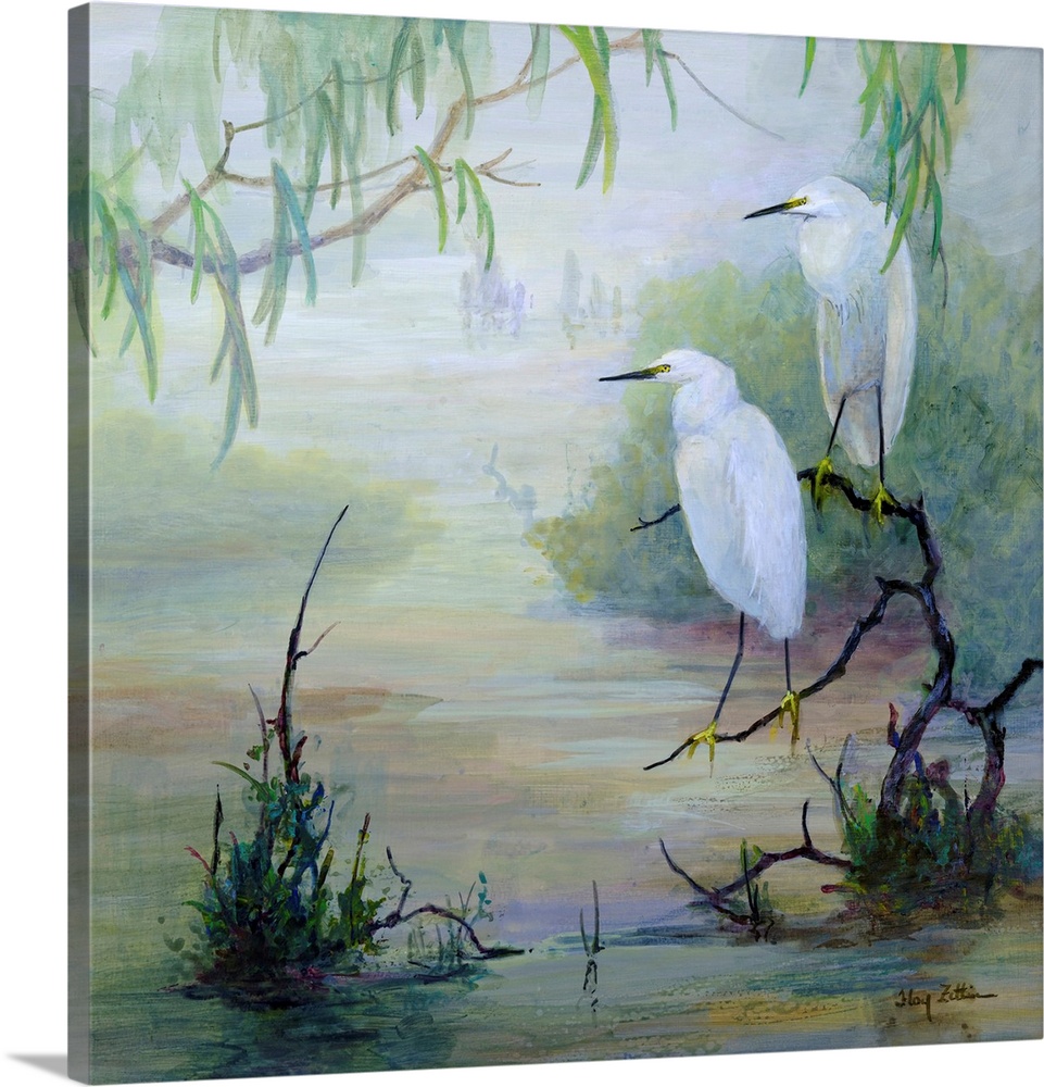 Snowy Egrets In Wetlands