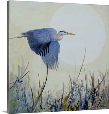 Soaring Heron