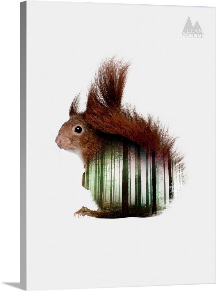 A composite image of a squirrel merged with an image of a forest.