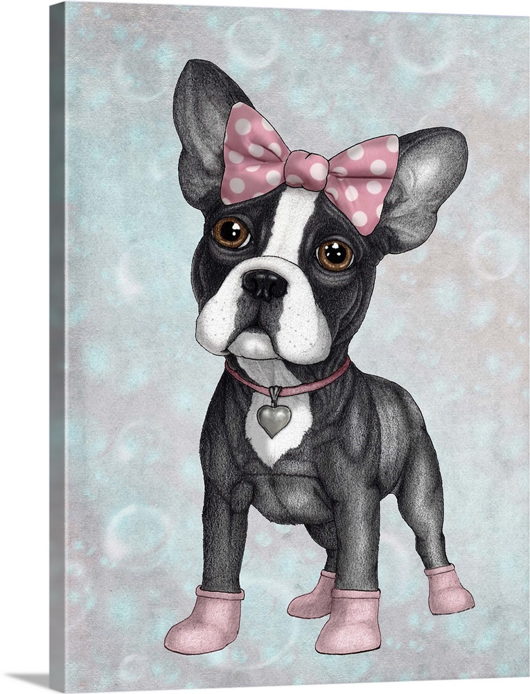 A petite french bulldog with a pink bow, collar and booties.