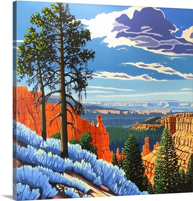 Taking The Long View