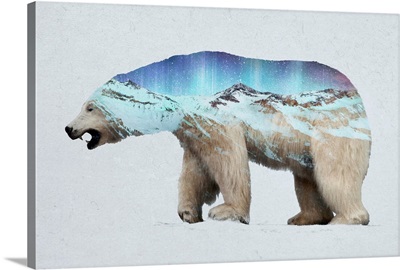 The Arctic Polar Bear