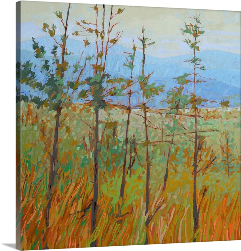 Blue Ridge Canvas The Blue Ridge | Great Big Canvas