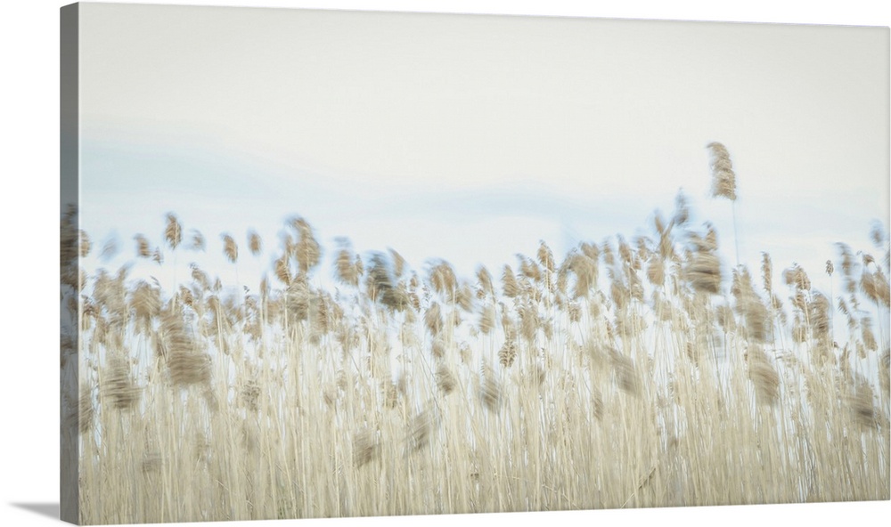 Weaving Through Earth and Sky Wall Art, Canvas Prints, Framed Prints