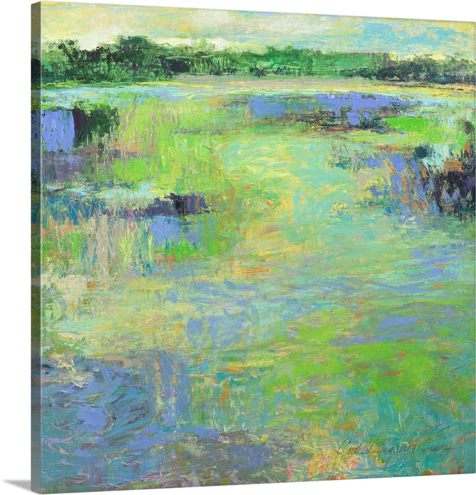 Wetland With Yellow Sky