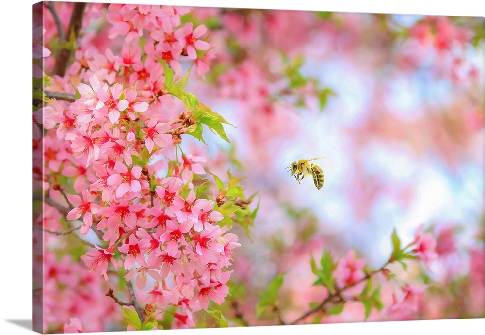 Whimsical Bee & Cherry Tree
