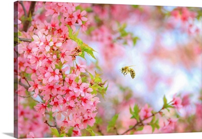 Whimsical Bee & Cherry Tree