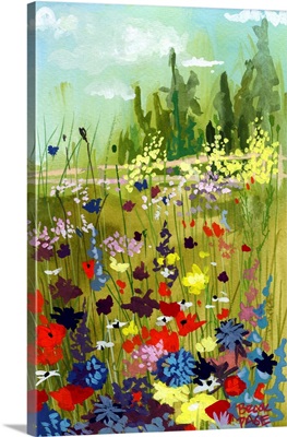 Wildflower Meadow