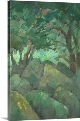 Wistmans Wood 2