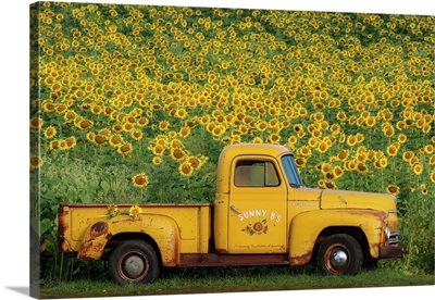 Yellow Vintage Sunflower Truck