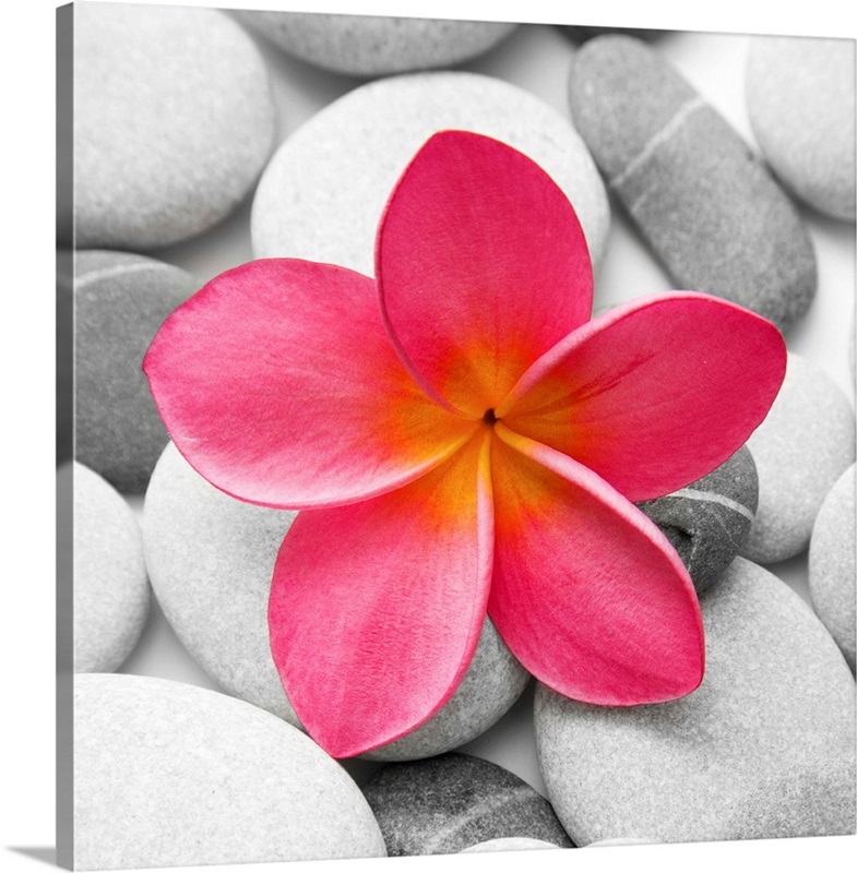 Zen Flower Great Big Canvas