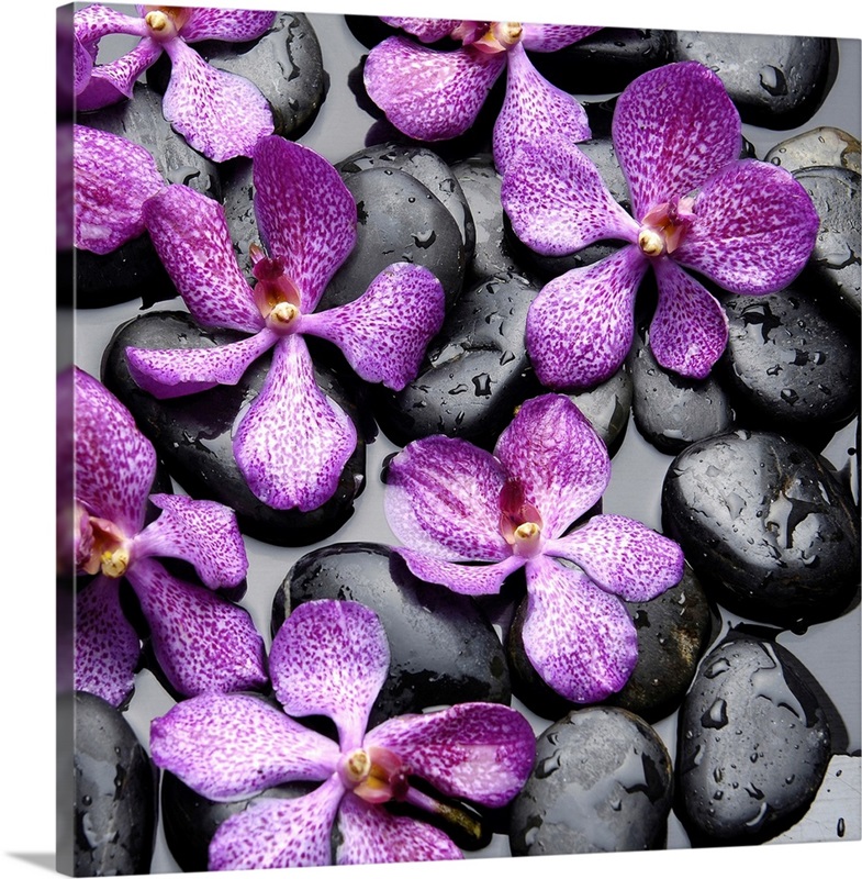 Zen Pebbles Wall Art, Canvas Prints, Framed Prints, Wall Peels Great