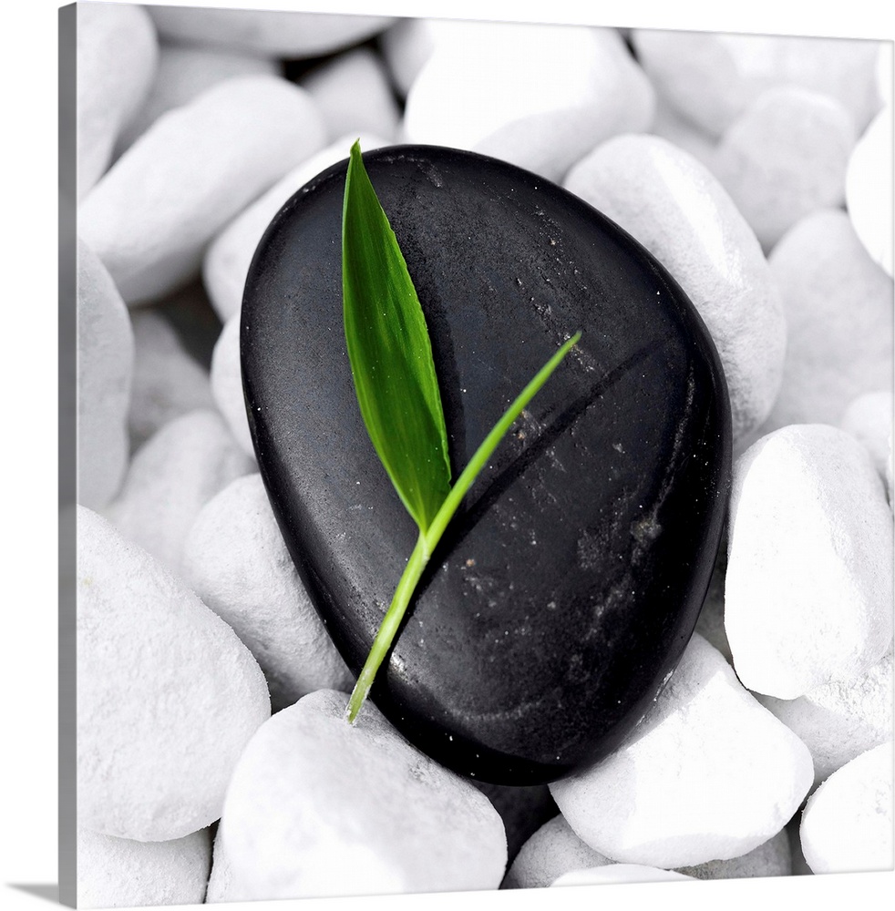 Small green bamboo leaf on a neat, black Zen-Stone lying on many white pebbles.