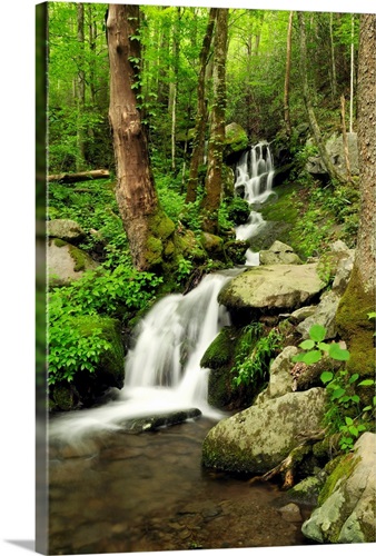 Scenic view of a Smoky Mountains waterfall and forest.; Little River, Great Smoky Mountains National Park, Tennessee.