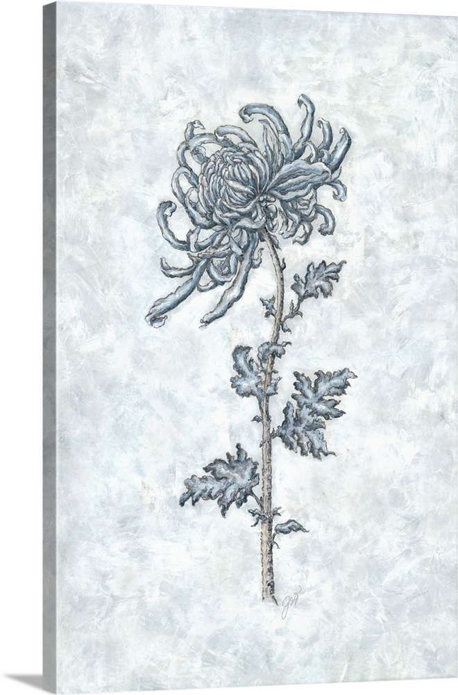 The soft blue hues of a delicate flower contrast elegantly with the white background.