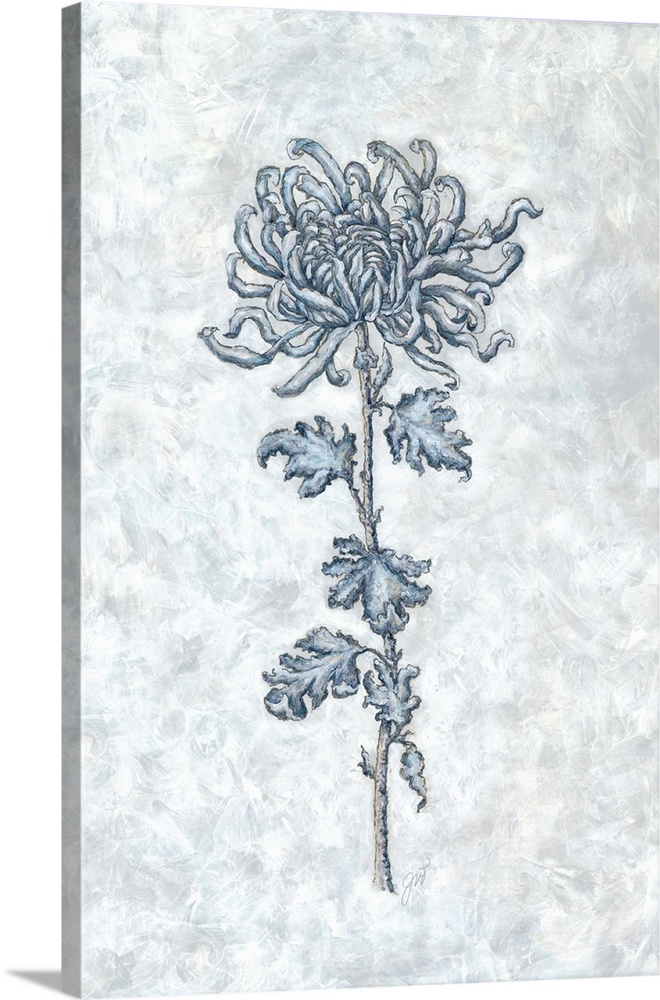 The soft blue hues of a delicate flower contrast elegantly with the white background.