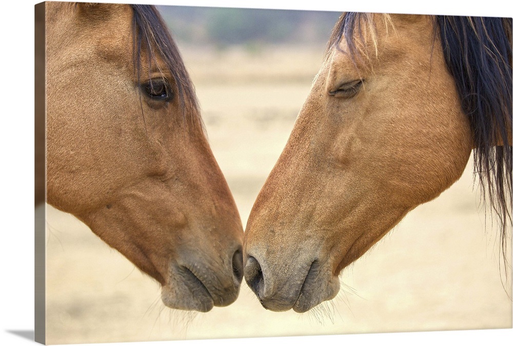 Best Friends Wall Art, Canvas Prints, Framed Prints, Wall Peels | Great