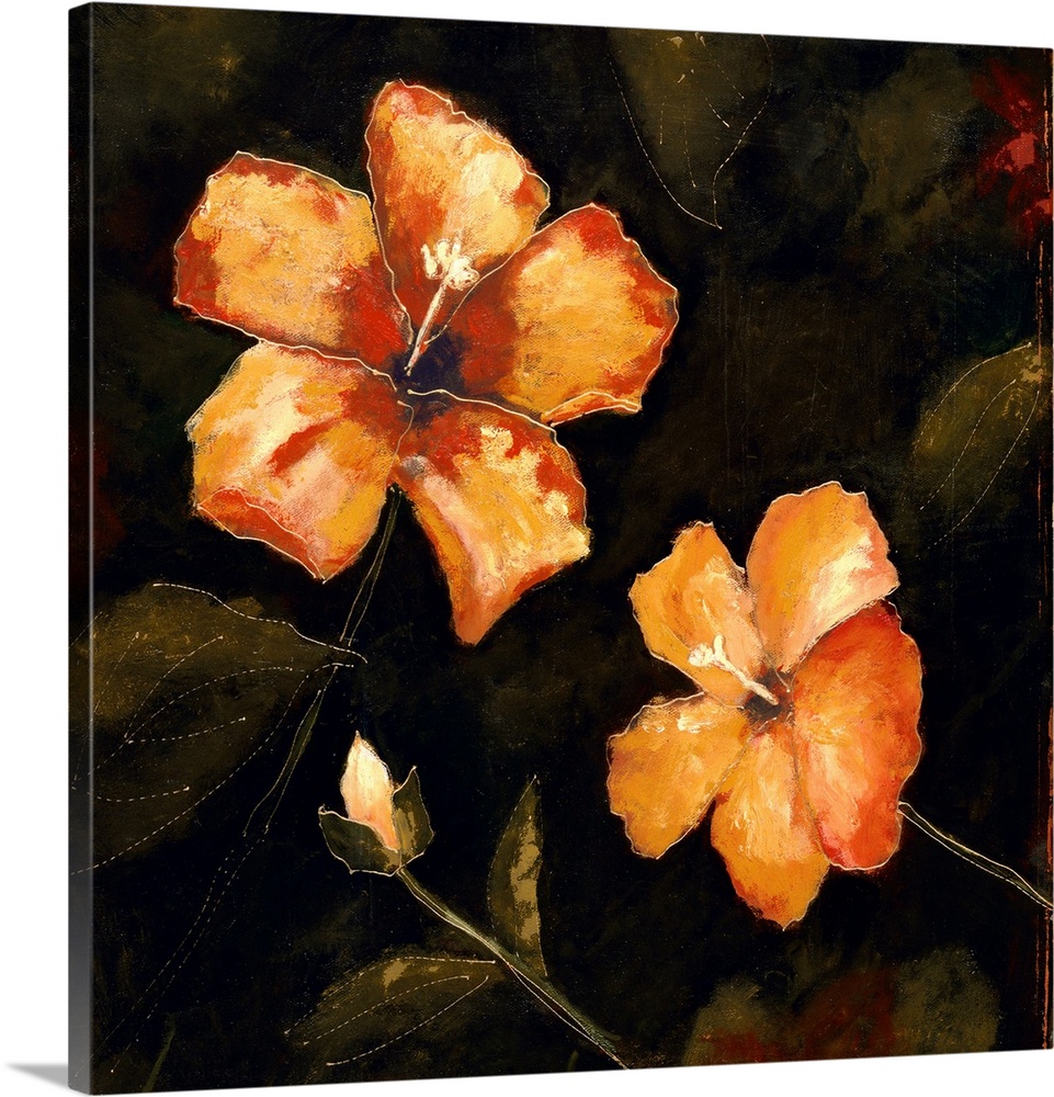 Contemporary painting of orange hibiscus flowers in bloom on a chalkboard background.
