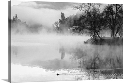 Fog On The Lake II
