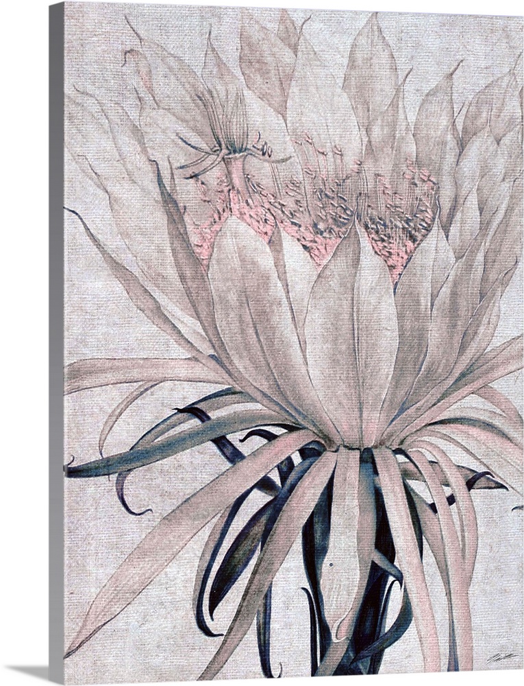 A cactus flower blooms on blushed toned linen.