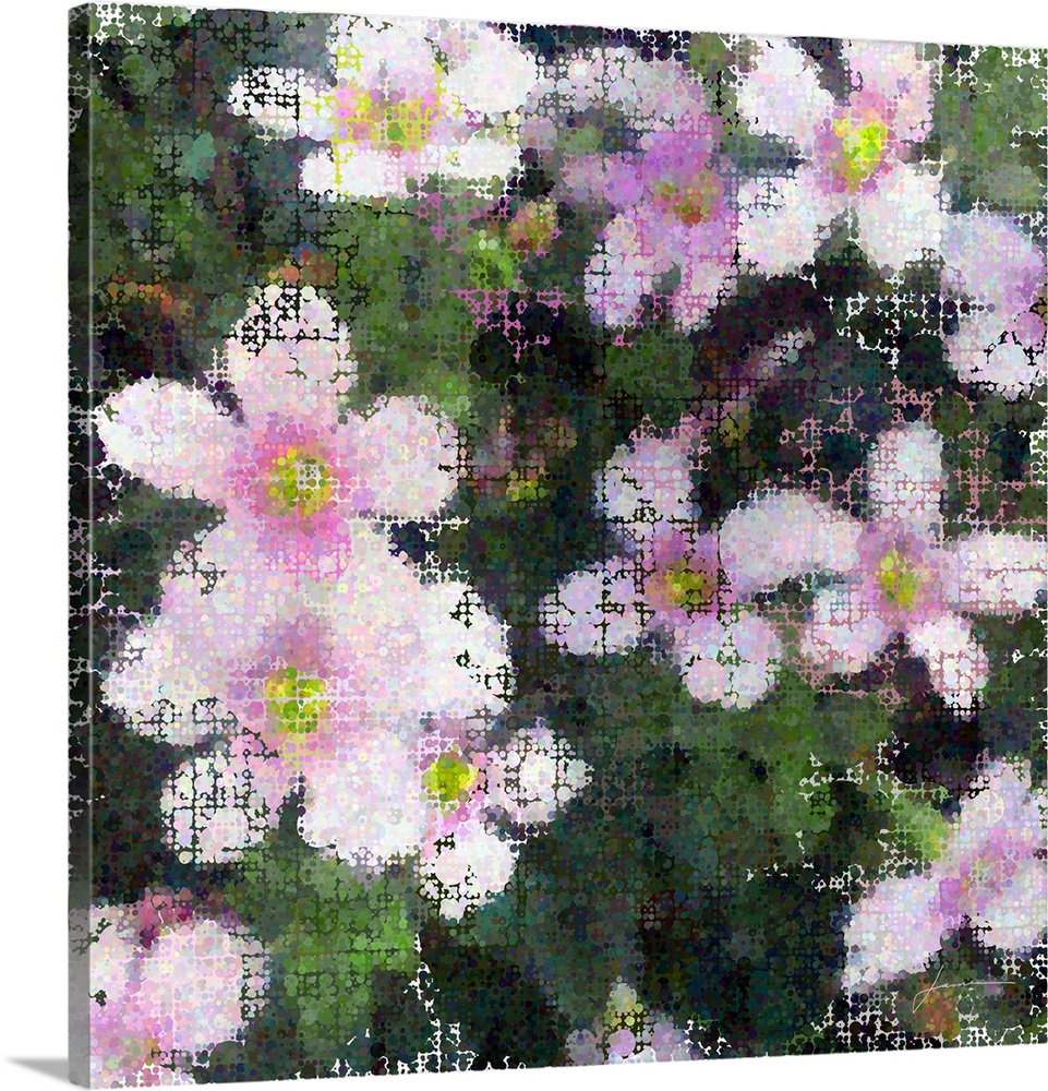 Modern pointillism. Clusters of flowers made of overlapping circles.