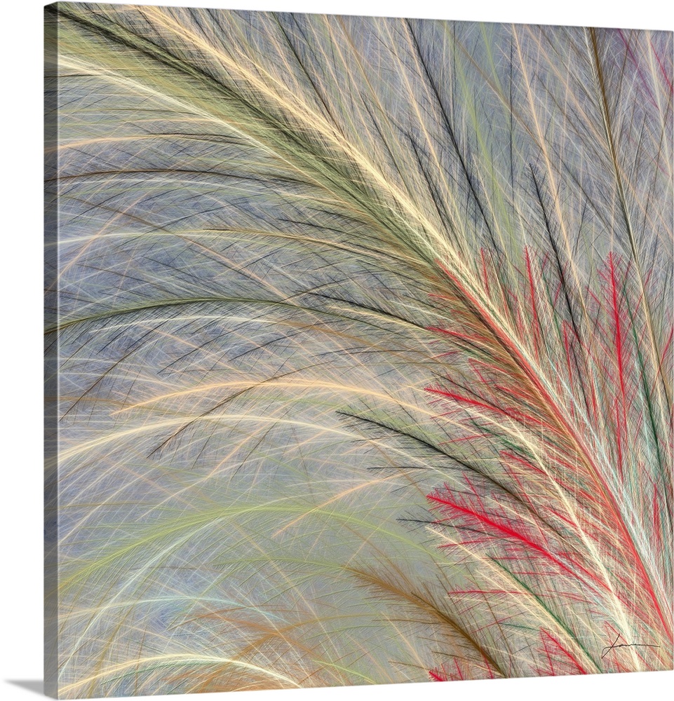 Abstract fronds arc elegantly across the canvas.