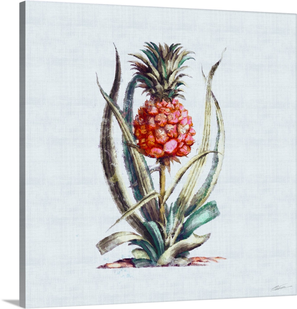 A contemporary colored pineapple on linen.