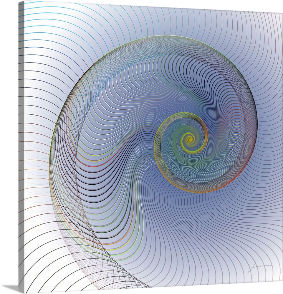 A spiraling abstract nautilus shell made of flowing lines.