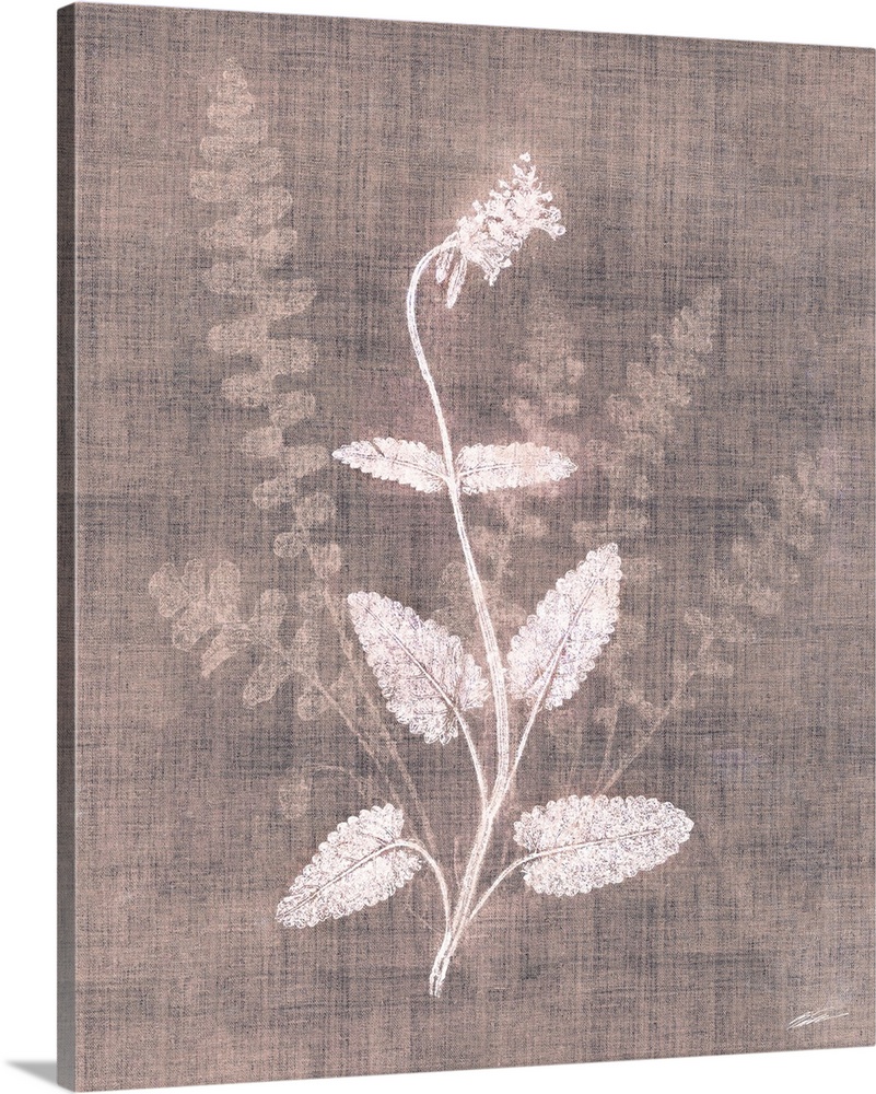 A faded botanical graces the canvas in simplicity.