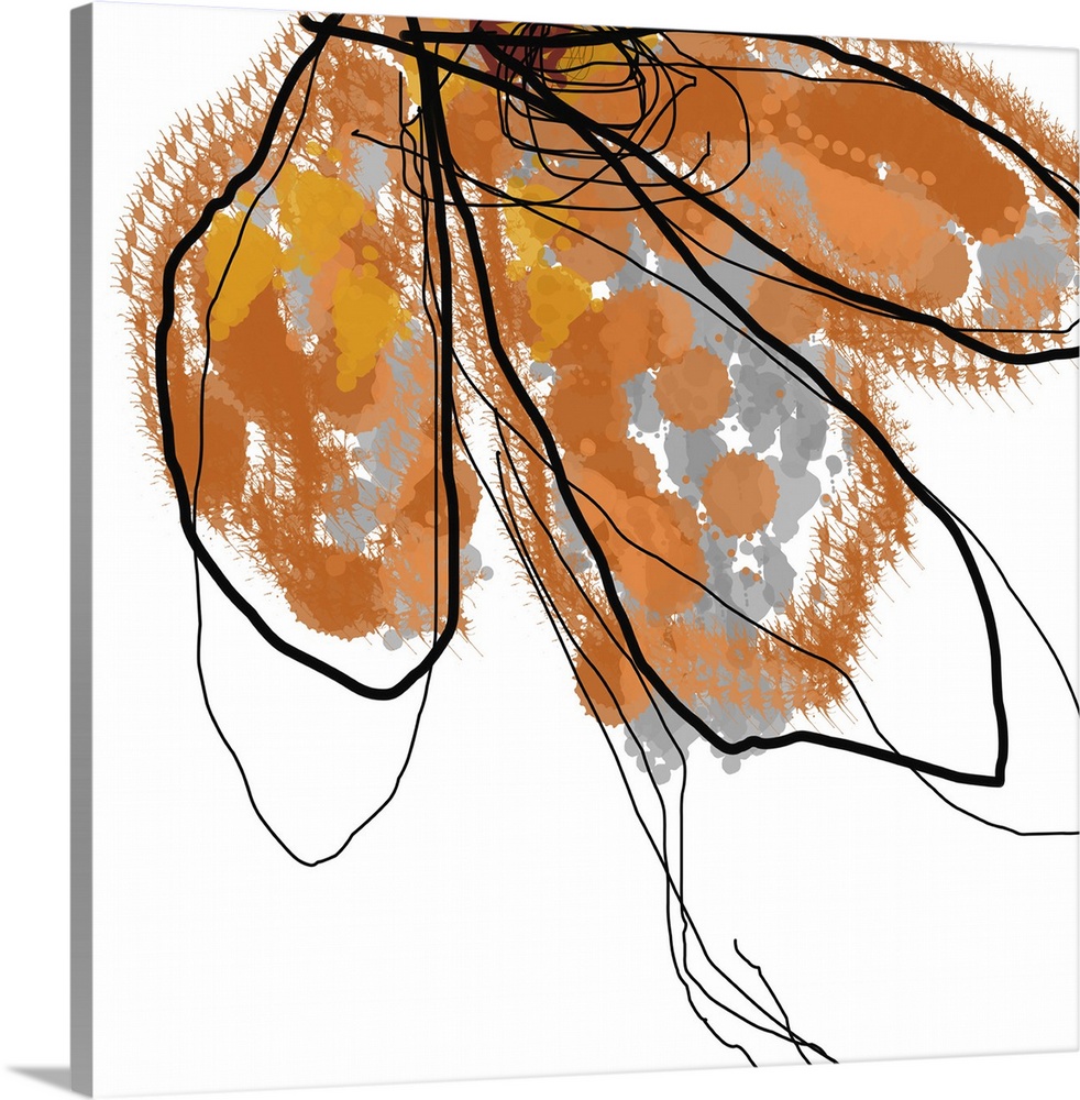 Digital contemporary drawing of an outline of half of a flower head splattered with color.