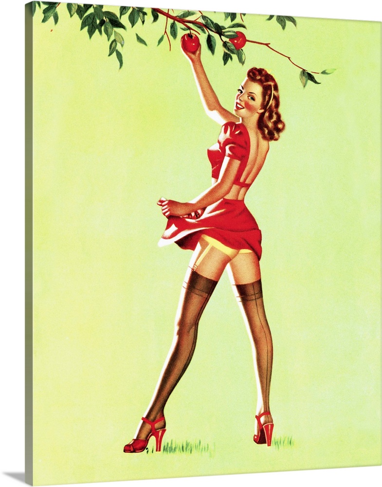 Vintage 50's pin-up girl picking apples from a tree.