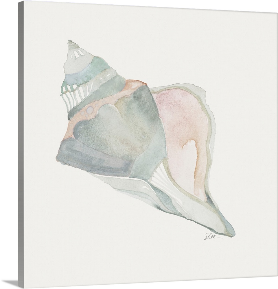 Hand Painted watercolor seashell with modern abstract details