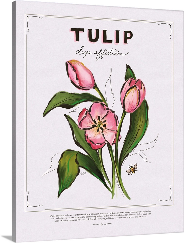 Language Of Flowers - Tulip