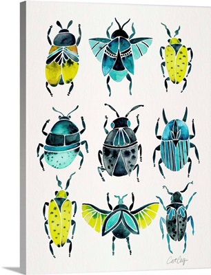 Lime Turquoise Beetle Collection