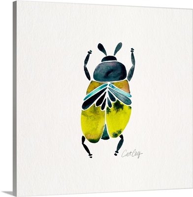 Lime Turquoise Beetle Collection Beetle 1