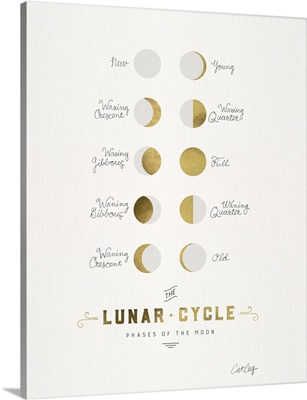 Lunar Phases White Gold