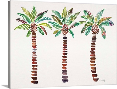 Mediterranean Palm Tree